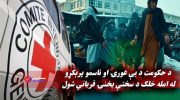 د سره صلیب نړیوالې کمیټې