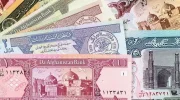 این عضو کابینه معتقد است که افغان‌ها برای رفع نیازهای خود از پاکستان ارز می‌خرند و از این طریق بر قیمت دالر فشار وارد می‌کنند.