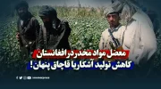 معضل مواد مخدر در افغانستان؛ کاهش تولید آشکار یا قاچاق پنهان!