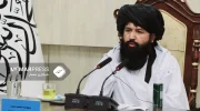 وزیر تحصیلات عالی: بزودی زمینه‌ آموزش تا مقطع ماستری و دکترا در کشور فراهم می‌شود
