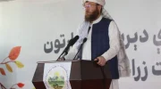 طالبان: تمرکز بر زراعت و مالداری ما را به خودکفایی غذایی رساند