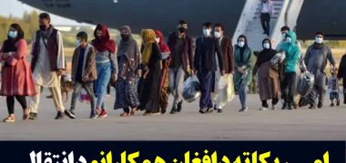 پشتو-مهاجرین