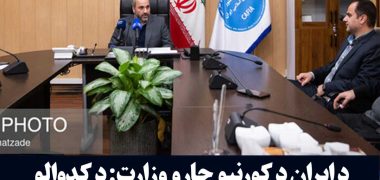 پشتو-مهاجرین