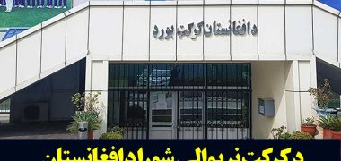 پشتو-کریکت