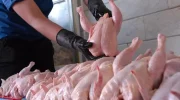 ممنوع شدن واردات گوشت مرغ توسط طالبان